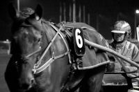hippodrome2014 (4).jpg